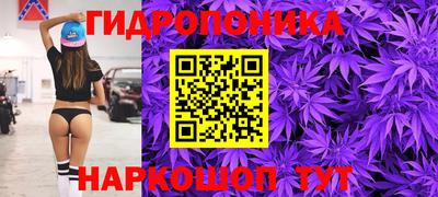 сатива Аргун