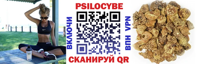 Псилоцибиновые грибы прущие грибы  KRAKEN ONION  Великие Луки 