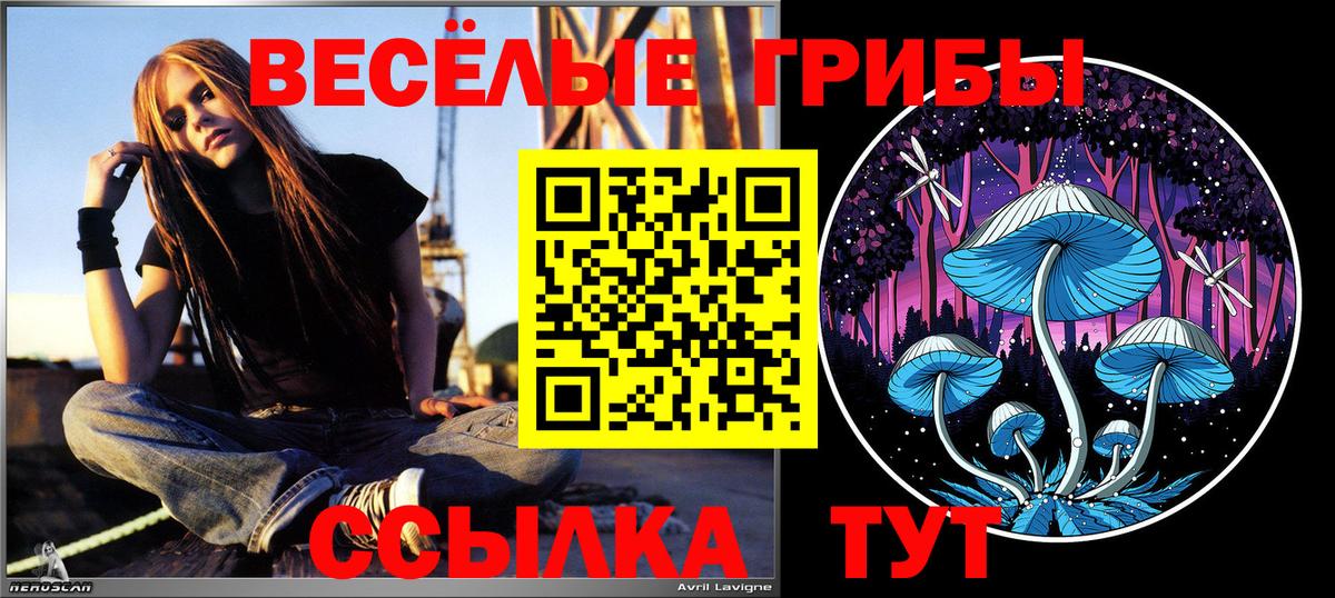 Великие Луки  Псилоцибиновые грибы мицелий  Вход с VPN 