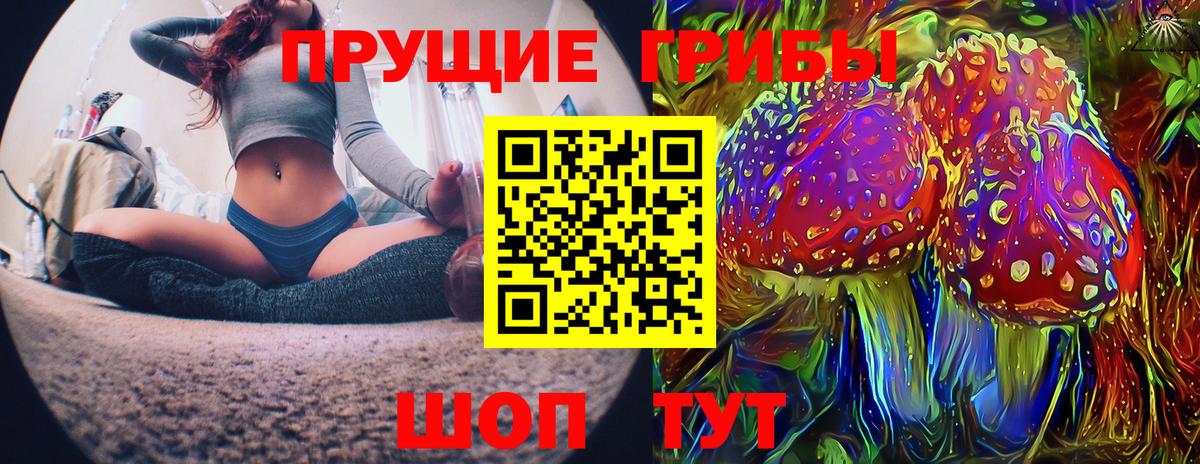 Псилоцибиновые грибы GOLDEN TEACHER Великие Луки