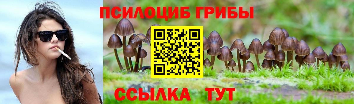 Галлюциногенные грибы MAGIC MUSHROOMS  Галлюциногенные грибы мицелий  Великие Луки 
