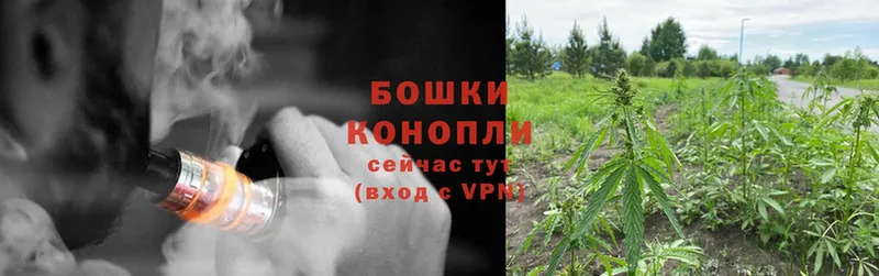 Бошки марихуана OG Kush  kraken   Великие Луки 